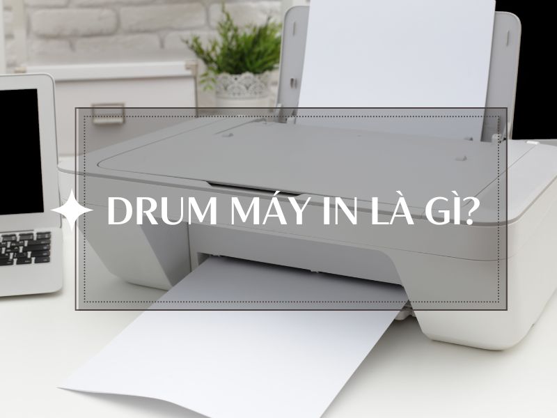 drum may in la gi