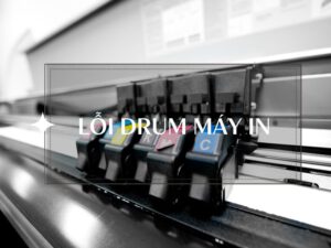 loi drum may in