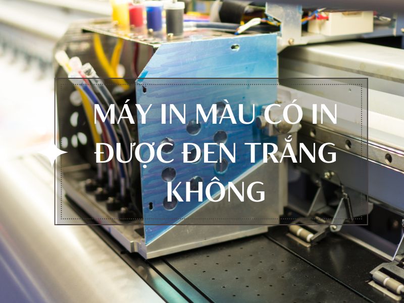 may in mau co in duoc den trang khong